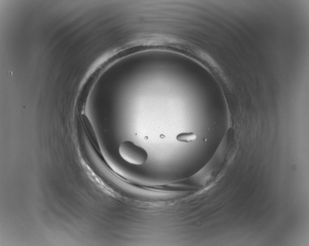 X0000080791122200612151448