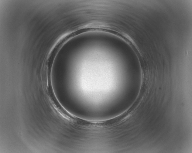 X0000080791123200612151448