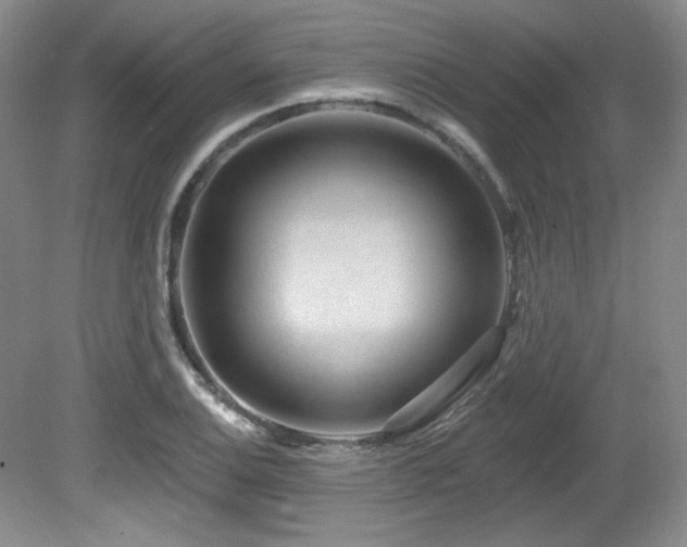 X0000080791124200612151448