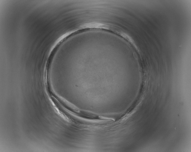 X0000080791125200612151448