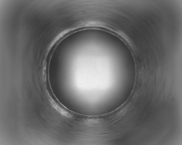 X0000080791126200612151448