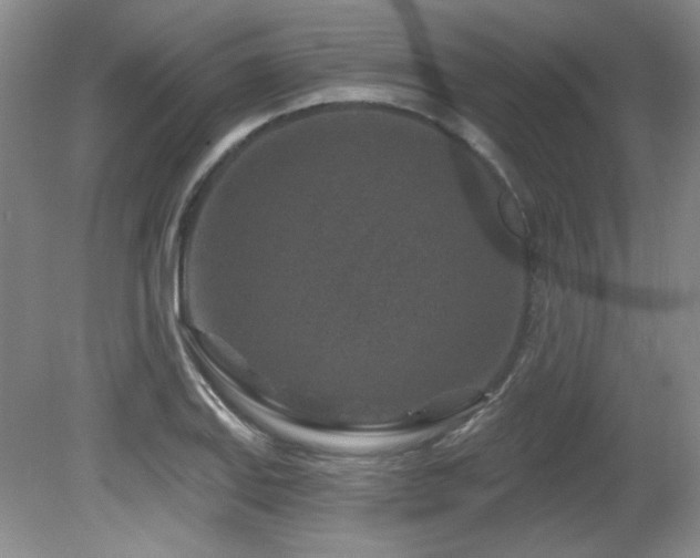 X0000080791127200612151448