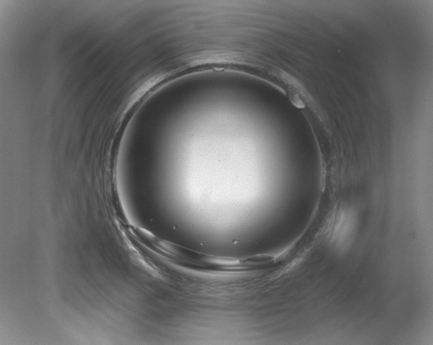 X0000080791129200612151448