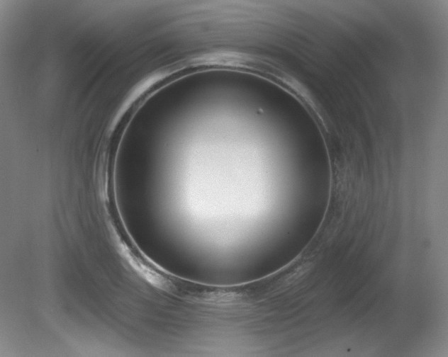 X0000080791131200612151448