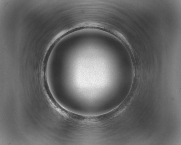 X0000080791133200612151448