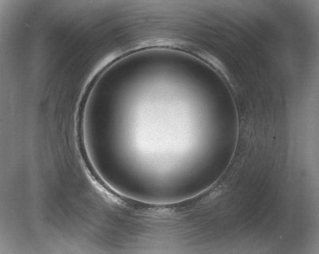 X0000080791135200612151448