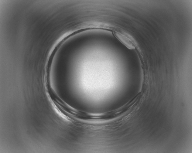 X0000080791136200612151448