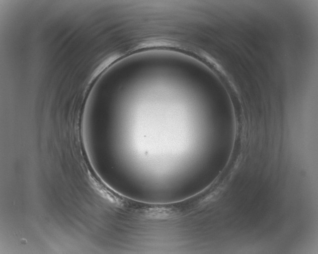 X0000080791137200612151448