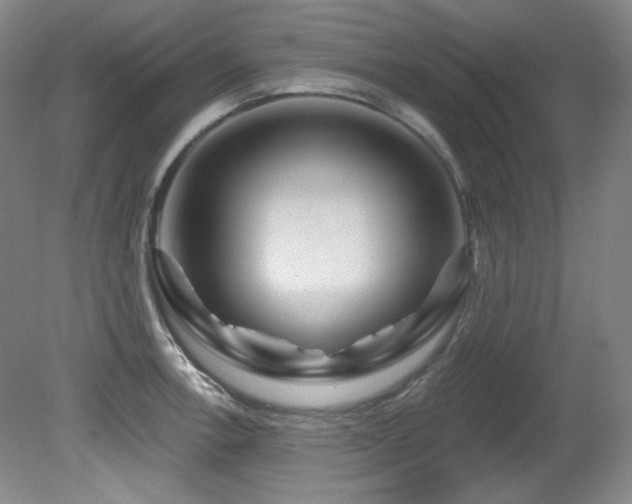 X0000080791138200612151448