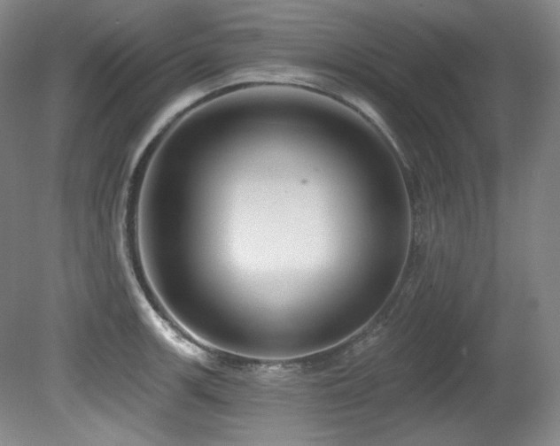 X0000080791139200612151448