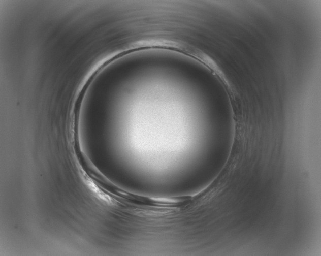 X0000080791140200612151448