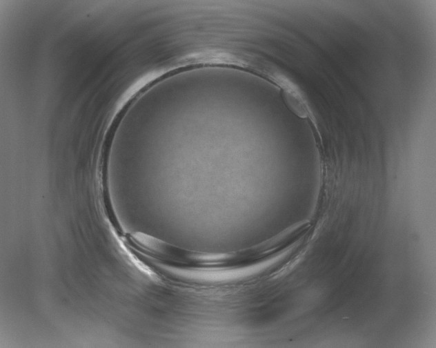 X0000080791141200612151448