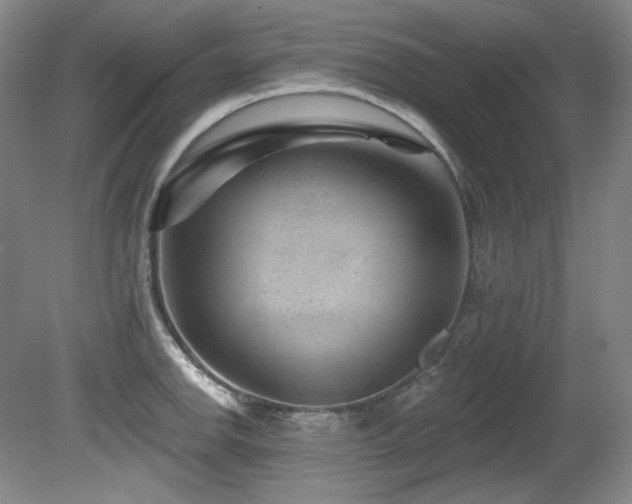 X0000080791142200612151448