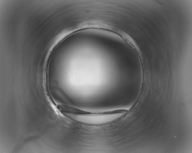 X0000080791144200612151448