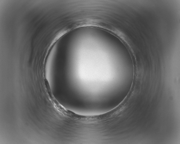 X0000080791145200612151448