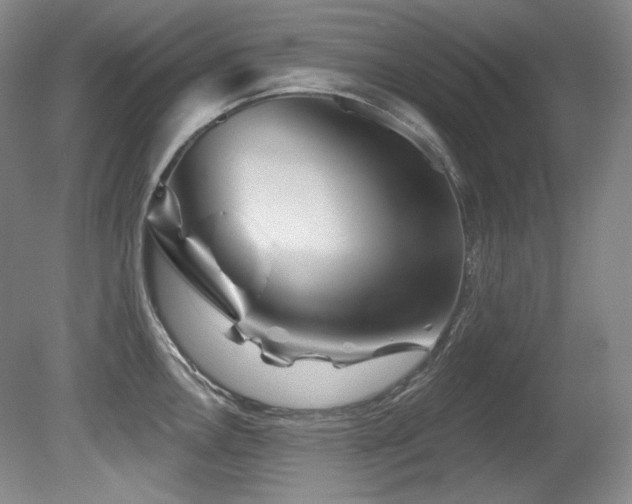 X0000080791146200612151448