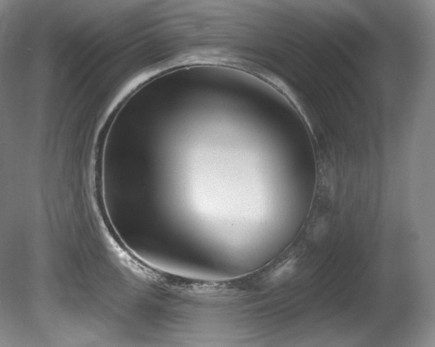 X0000080791147200612151448