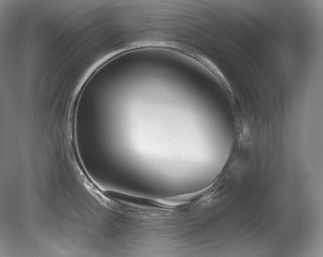 X0000080791148200612151448
