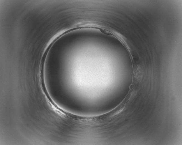 X0000080791149200612151448