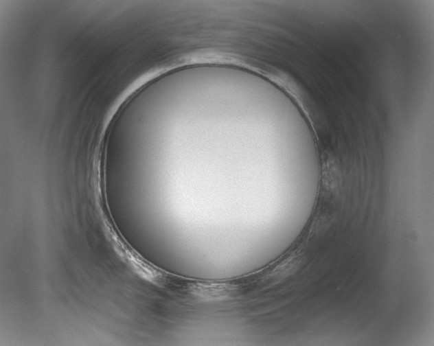 X0000080791150200612151448