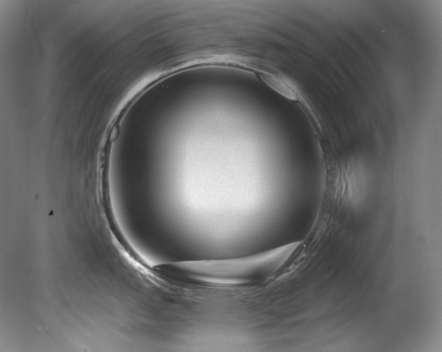 X0000080791151200612151448