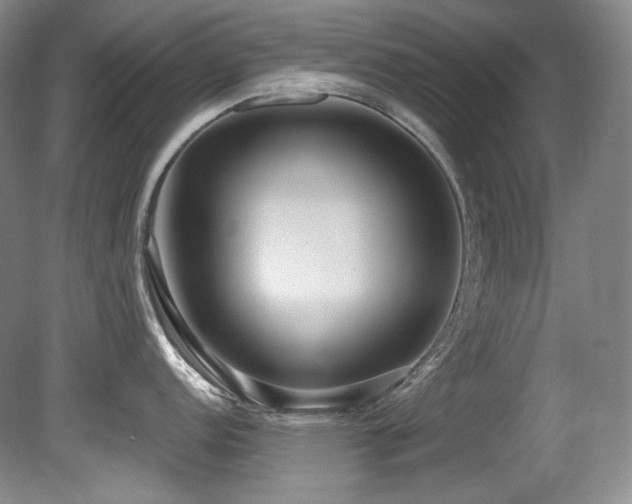 X0000080791152200612151448