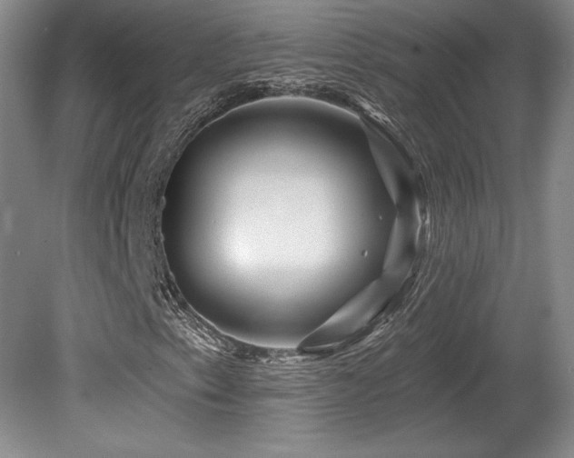 X0000080791153200612151447