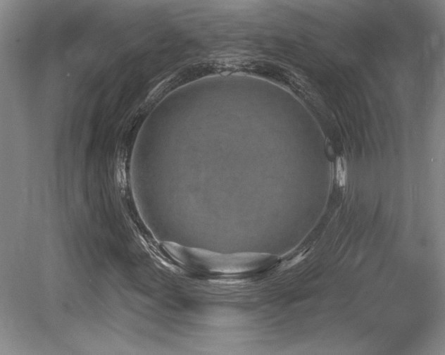 X0000080791155200612151447