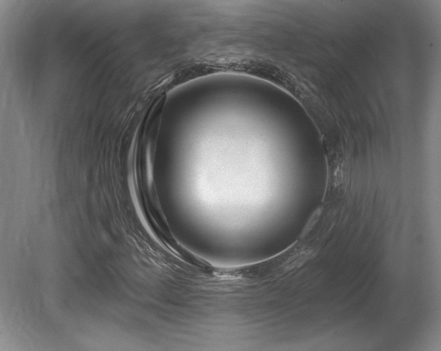 X0000080791156200612151447