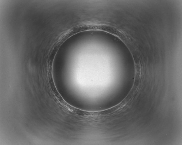 X0000080791157200612151447