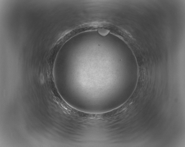 X0000080791158200612151447
