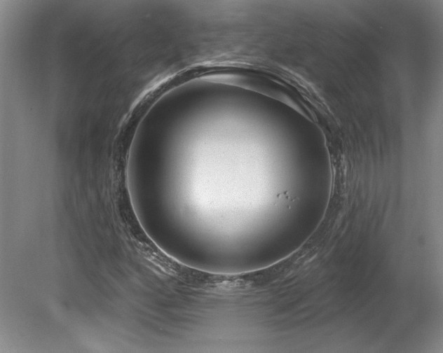 X0000080791160200612151447