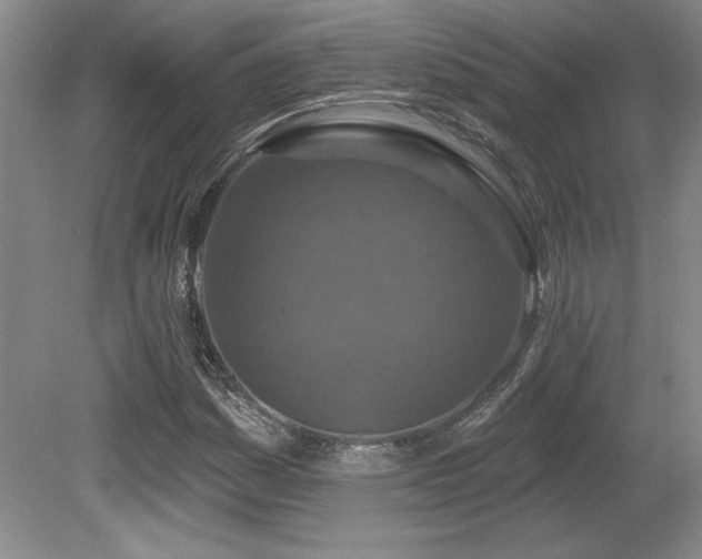 X0000080791161200612151447