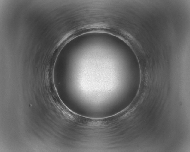X0000080791162200612151447