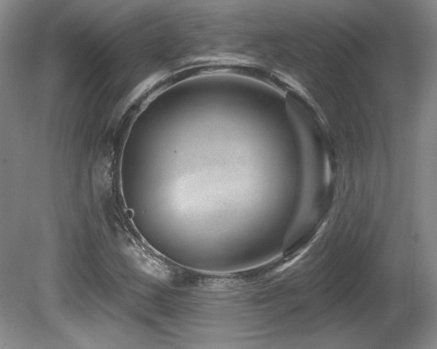 X0000080791163200612151447