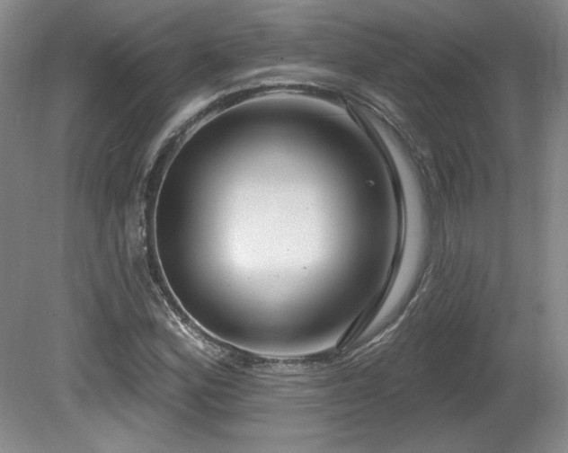 X0000080791164200612151447