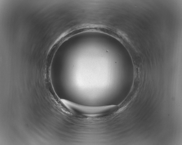 X0000080791165200612151447