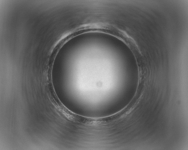 X0000080791166200612151447