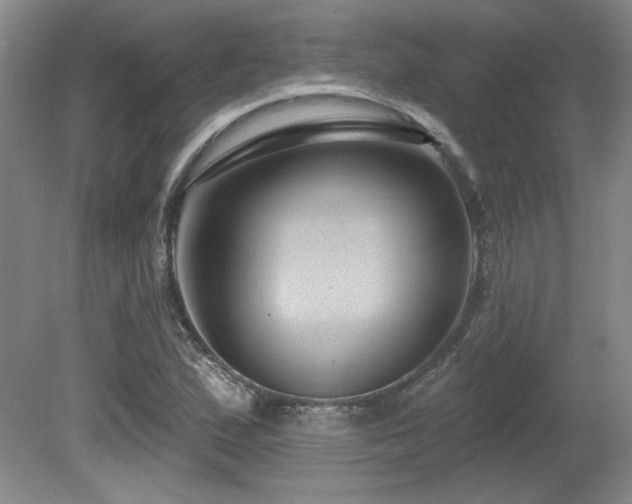 X0000080791167200612151447
