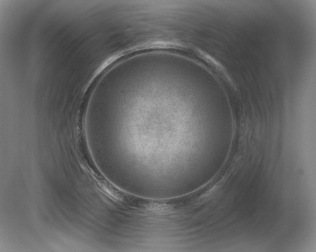 X0000080791170200612151447