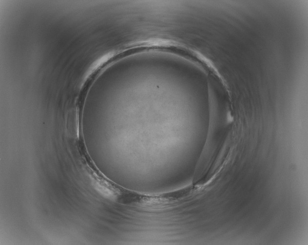 X0000080791171200612151447