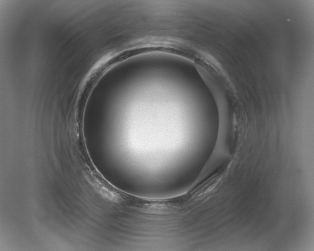 X0000080791172200612151447