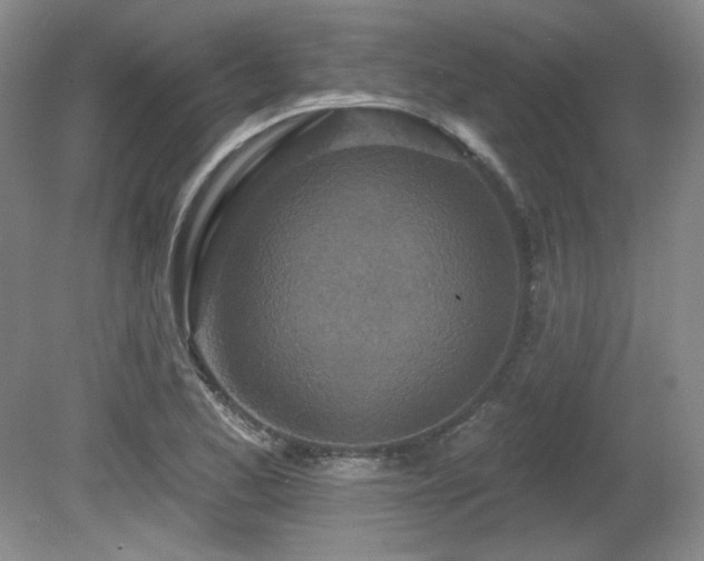 X0000080791173200612151447