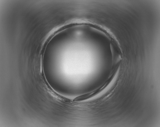 X0000080791175200612151447