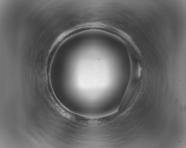 X0000080791176200612151447