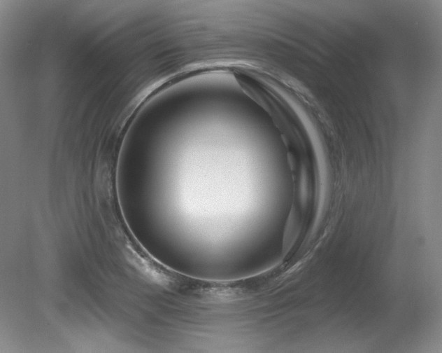 X0000080791177200612151447