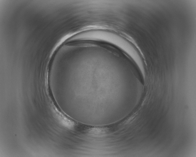 X0000080791179200612151447