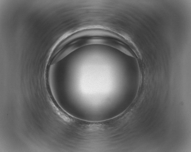 X0000080791181200612151447