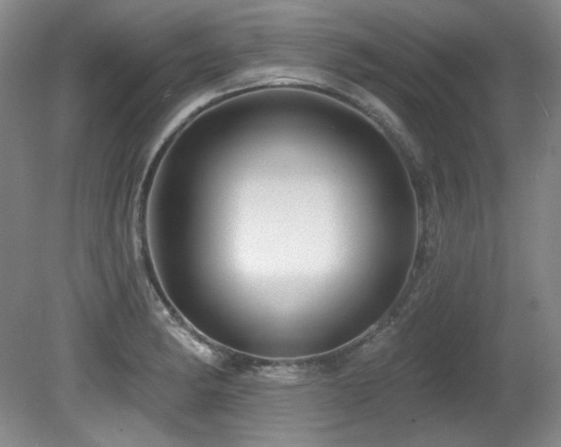 X0000080791182200612151447
