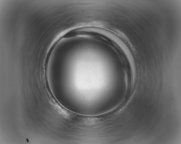 X0000080791184200612151447